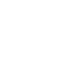 ico-chanclas