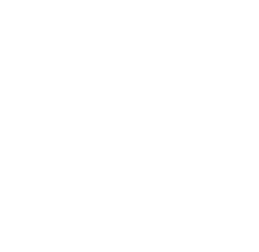 ico-timon